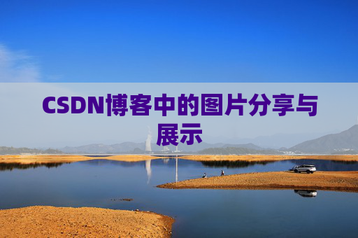 CSDN博客中的图片分享与展示